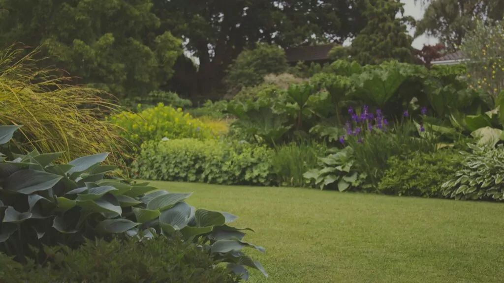 Garden Maintenance Service North Shore Grandeur Gardening