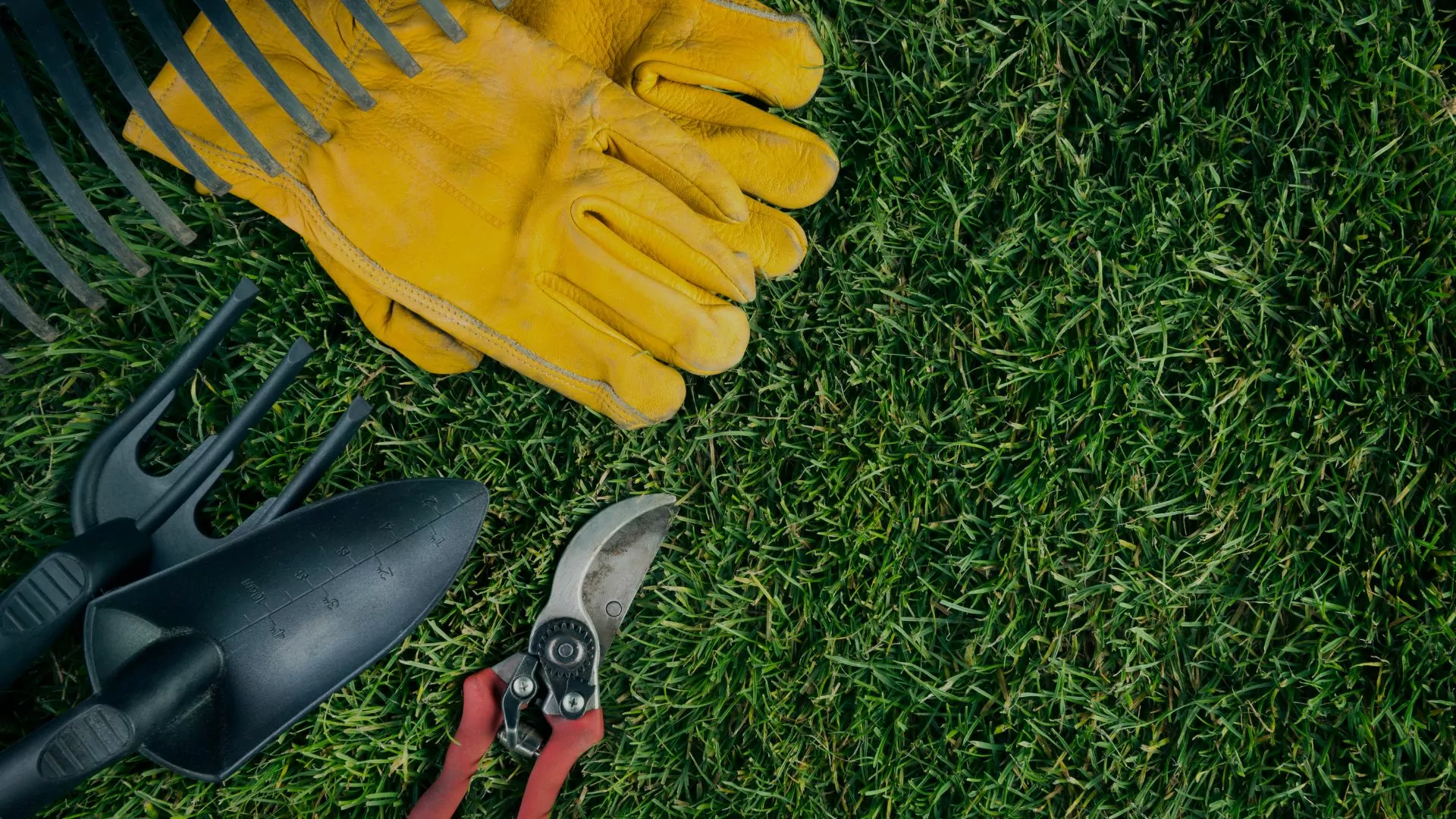 Specialist Gardening Services Grandeur Gardening